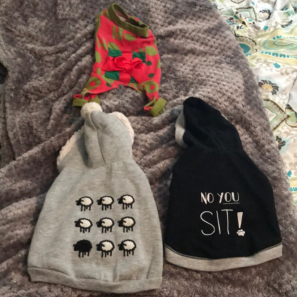 Dogs clothing